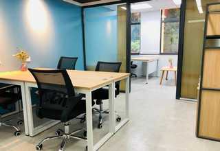 盐田区紫穗槐树苗