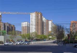 青海生物油燃料双炒单温灶具